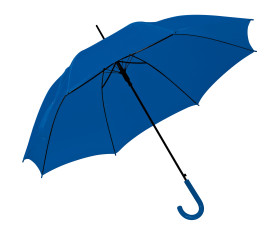 Automatic umbrella, plastic handle